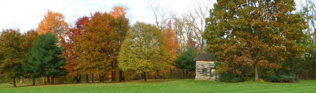 Fall Photo Tips: Include the dramatic. All trimmed away the trees and the cabin now stand out.
