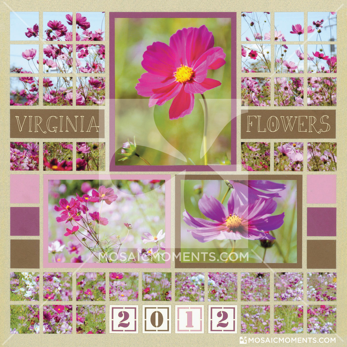 Scrapbook flowers, Summer scrapbook layouts, Scrapbook pages