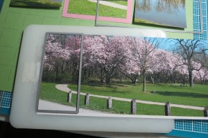 Quick Page Die Cutting a Panorama Photo