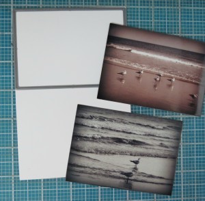 Summertime... and the Scrapping is Easy  using the 3x4 layering die to cut two photos printed on one 4x6