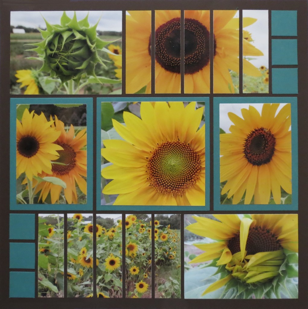 Sunflowers and Mosaic Strips page pattern #225