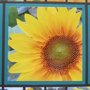Sunflowers and Mosaic Strips color inspiration photo