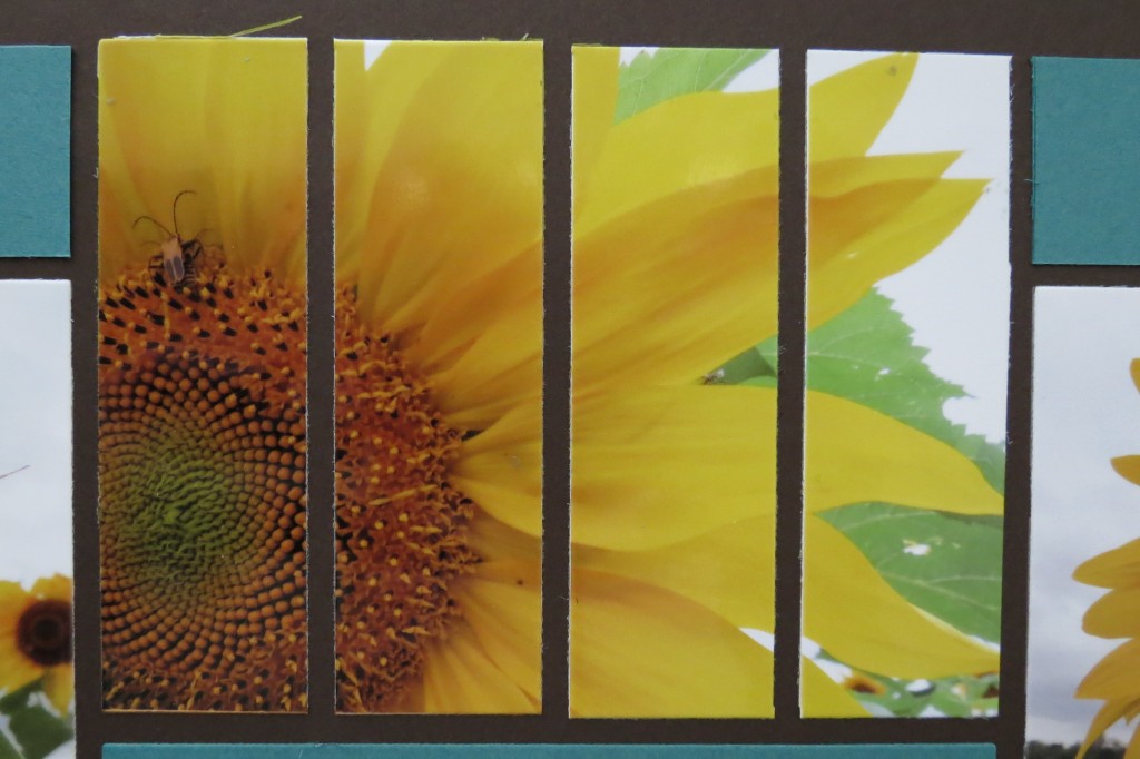 Sunflowers and Mosaic Strips aligning cuts to create focal point on the bug.