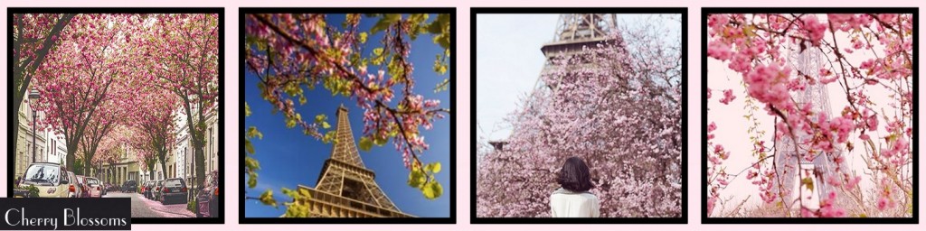 MM Inspiration: Paris in Spring CHERRY BLOSSOMS