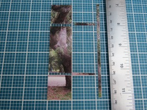 Tips for fitting photos to the grid. 