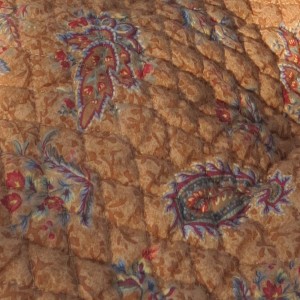 Color/pattern details
