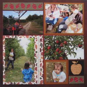 Mosaic Moments Acorn Border Dies Bonfire Grid Paper
