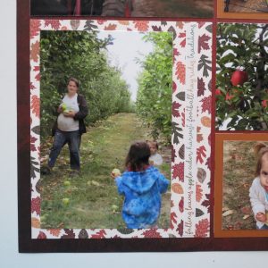 Mosaic Moments Acorn Border Dies