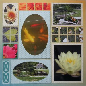 Mosaic Moments Photo Tips: Look Down!