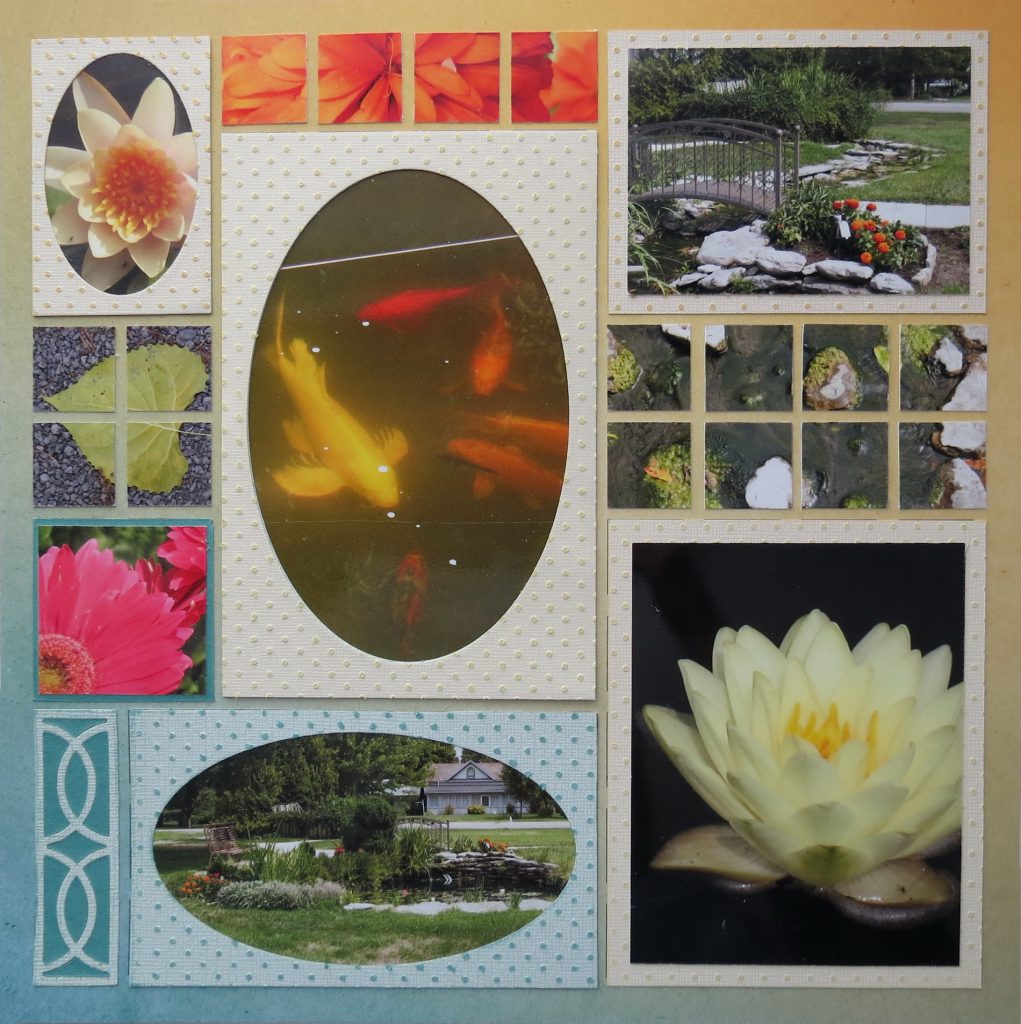 Mosaic Moments Photo Tips: Look Down!