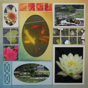 Mosaic Moments Photo Tips: Look Down!