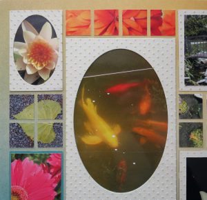 Mosaic Moments Photo Tips: Look Down!