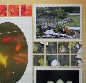 Mosaic Moments Photo Tips: Look Down!
