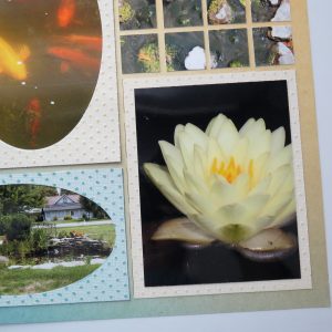 Mosaic Moments Photo Tips: Look Down!