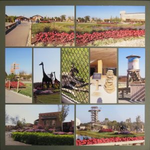 Mosaic Moments Simple Steps: The Basics: Cropping Tips