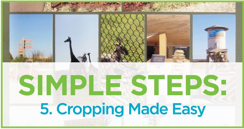 Cropping Made Easy Mosaic Moments Page Layout System Cropping Made Easy Mosaic Moments Page Layout System