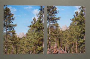 The Basics, Six Tips and Extra-Large Photos