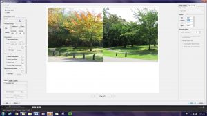 Mosaic Moments Photo Tips: Pie Die Sets