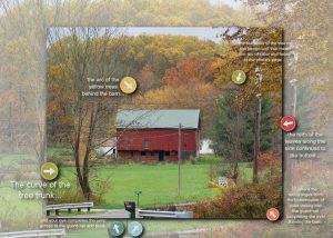 Mosaic Moments Four Tips for Composing Photos
