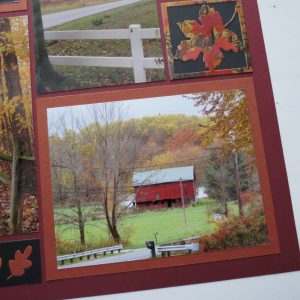 Mosaic Moments Four Tips for Composing Photos